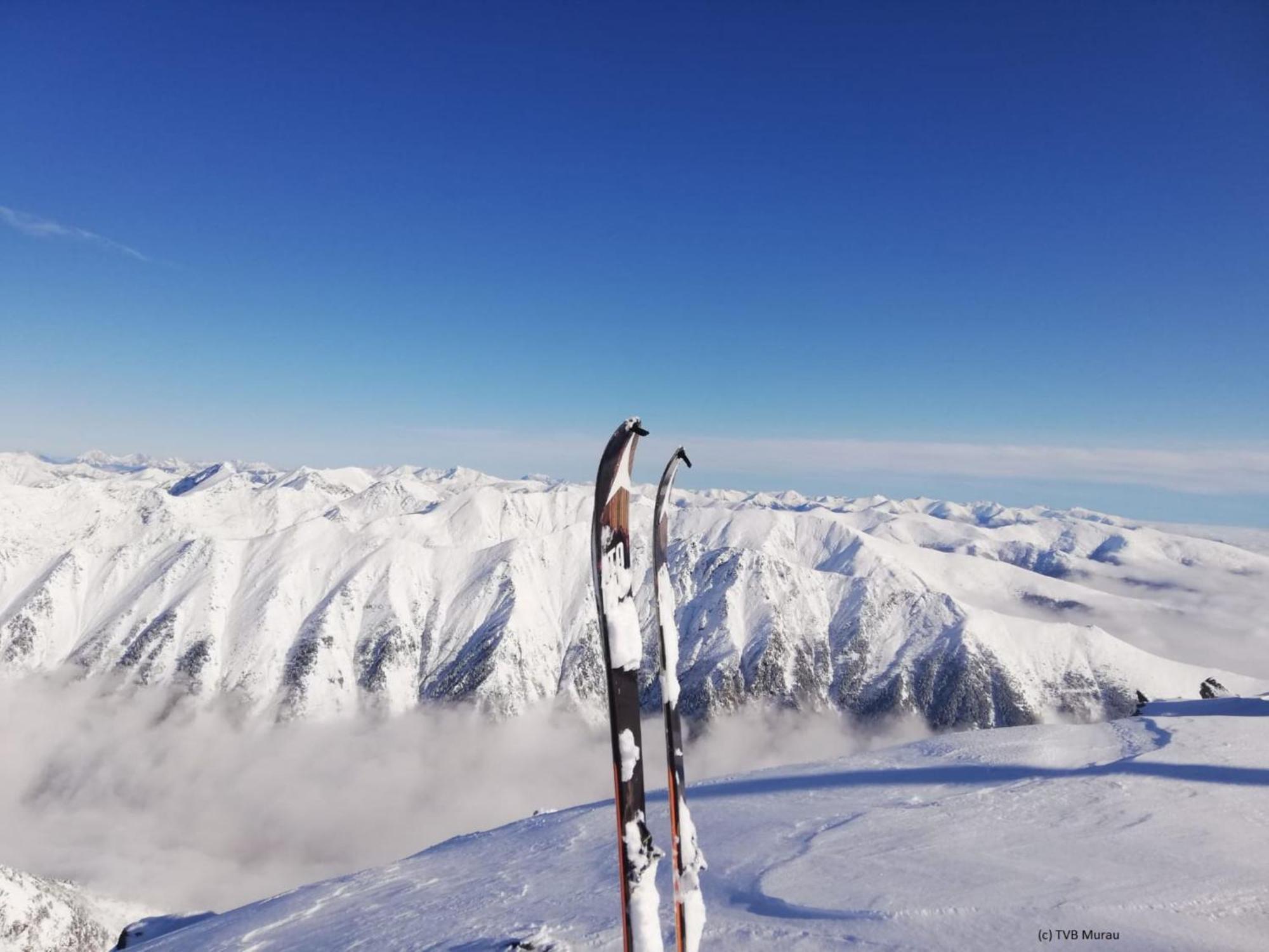 Alpenpark Turrach By Alps Resorts تراشر هوهه المظهر الخارجي الصورة